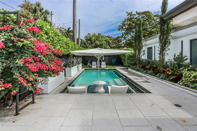1301 Adams St, Hollywood, FL 33019 - view of swimming pool with a patio area