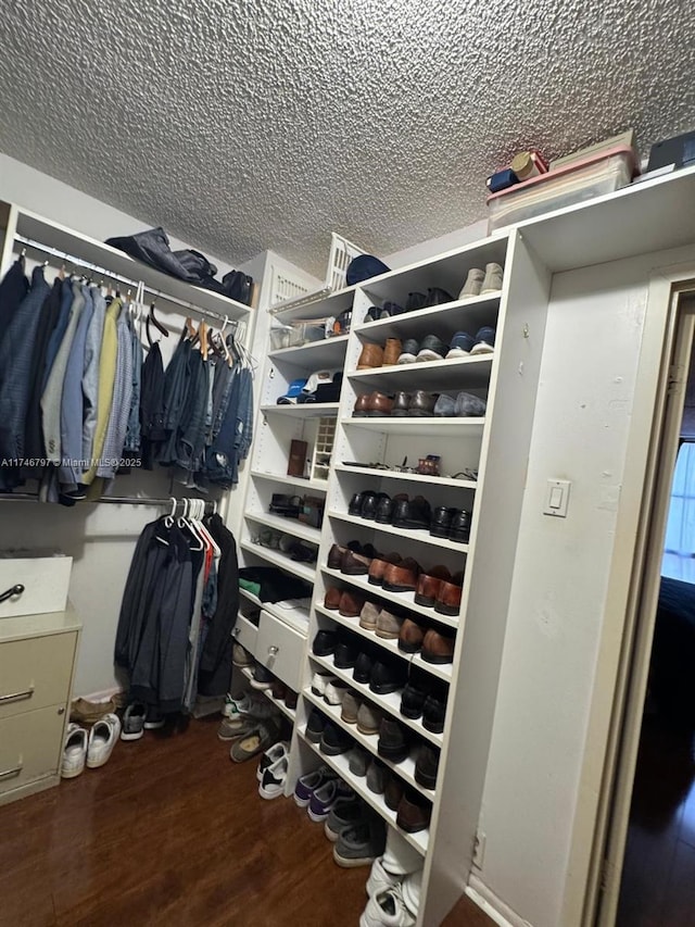 spacious closet featuring dark wood-type flooring