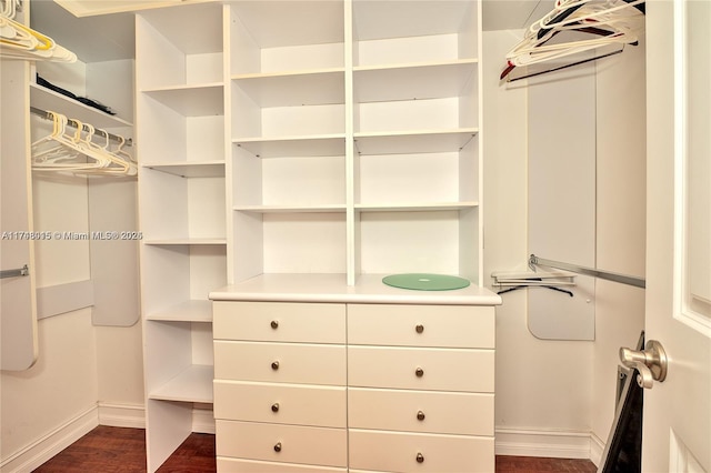 spacious closet with dark hardwood / wood-style flooring