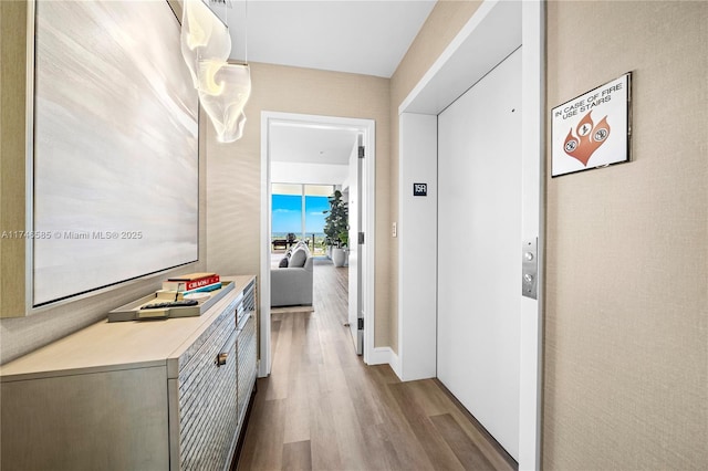 hallway with elevator and hardwood / wood-style flooring