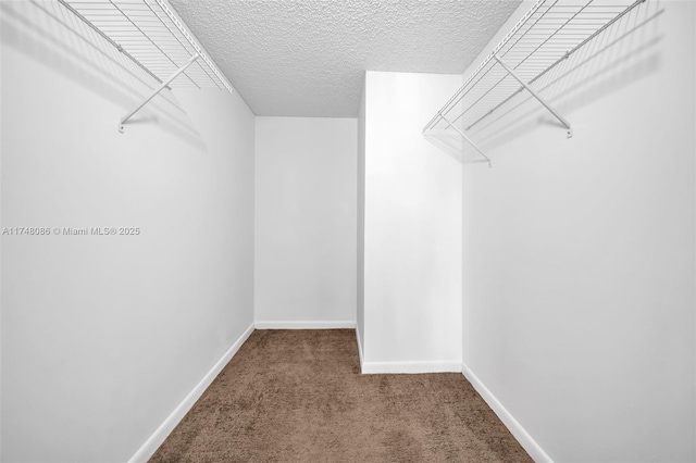 18224 Mediterranean Blvd Unit 5-17, Hialeah, FL 33015 - walk in closet with carpet