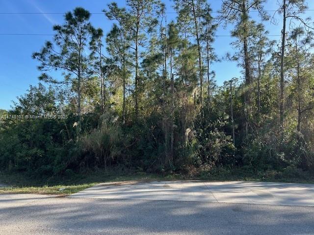 3892 6th Ave NE, Naples FL, 34120 land for sale