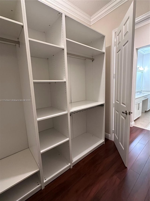 view of closet