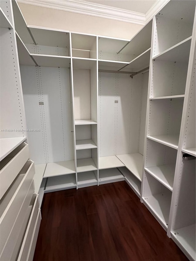 spacious closet with dark wood-type flooring