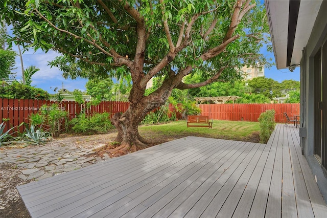 wooden deck featuring a yard