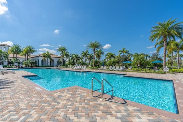 view of swimming pool featuring a patio