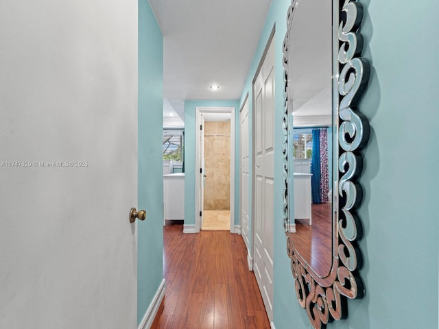 hallway featuring hardwood / wood-style flooring