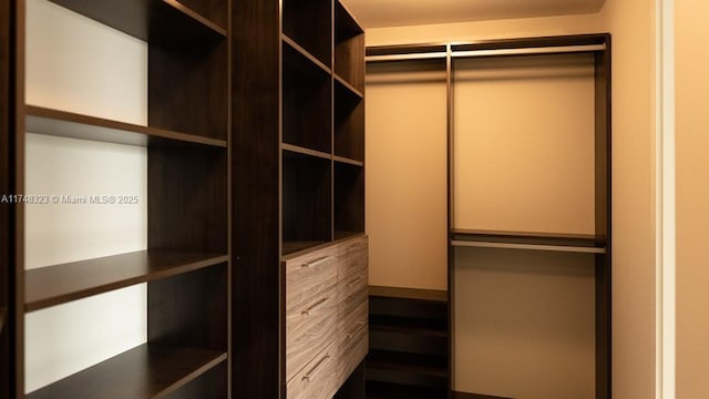 650 NE 32nd St Unit 2105, Miami, FL 33137 - view of walk in closet