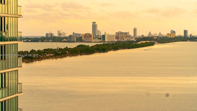 650 NE 32nd St Unit 2105, Miami, FL 33137 - view of property's community featuring a water view and a skyline view