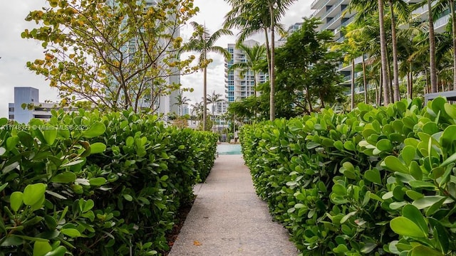 650 NE 32nd St Unit 2105, Miami, FL 33137 - view of community