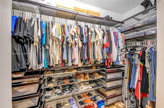 view of spacious closet