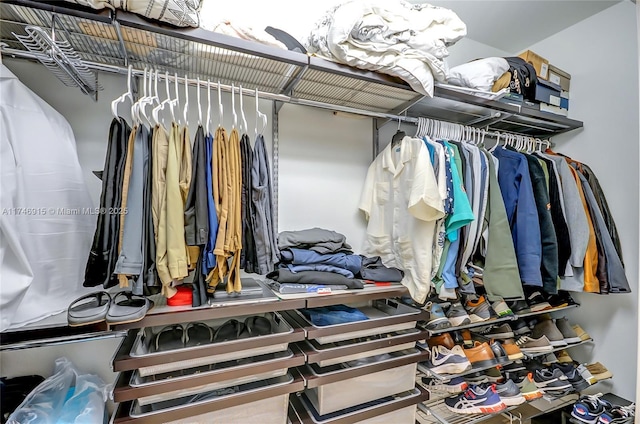 view of spacious closet