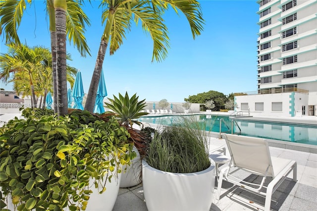 view of pool with a patio area