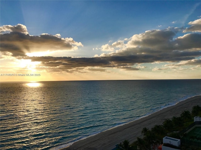 water view featuring a beach view