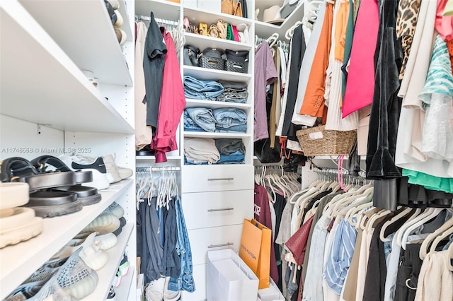 view of spacious closet