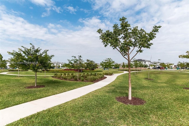 view of community featuring a lawn