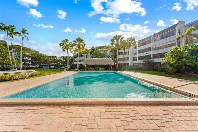 view of swimming pool