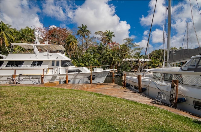 view of yard with a dock