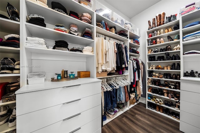 walk in closet featuring dark hardwood / wood-style floors