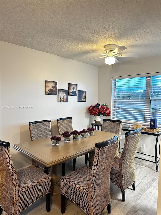 dining area featuring ceiling fan, light wood-type flooring, and a textured ceiling