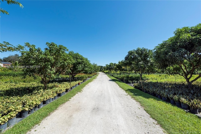 view of street with a rural view