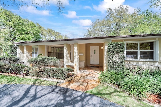 ranch-style house featuring stucco siding