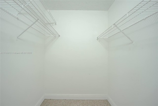 view of walk in closet
