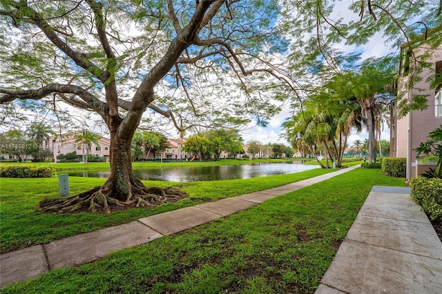 view of community featuring a water view and a yard