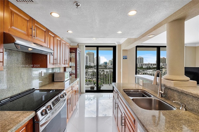 kitchen featuring sink, tasteful backsplash, stainless steel electric stove, and plenty of natural light