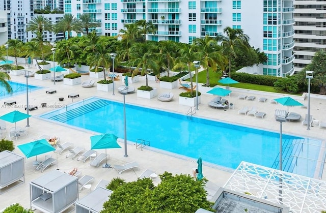 view of pool featuring a patio area