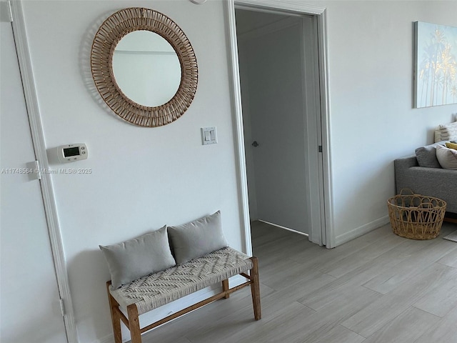 interior space featuring baseboards and light wood-type flooring