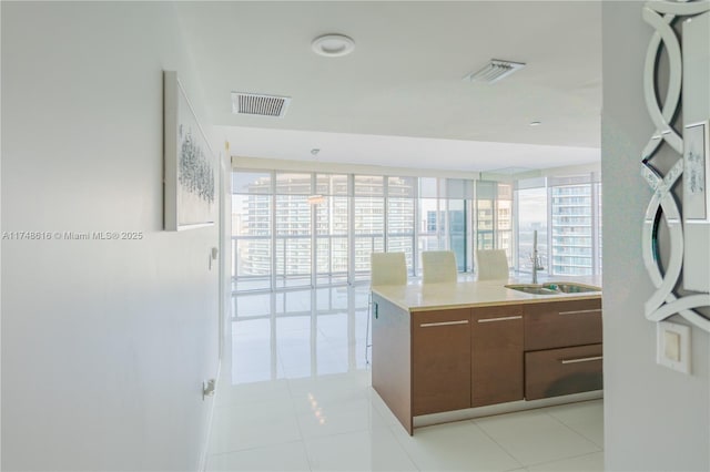 kitchen featuring visible vents, a sink, and a wealth of natural light