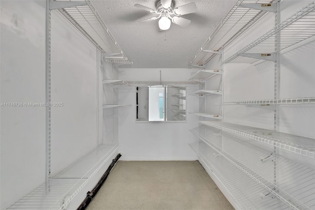 walk in closet featuring light carpet and ceiling fan