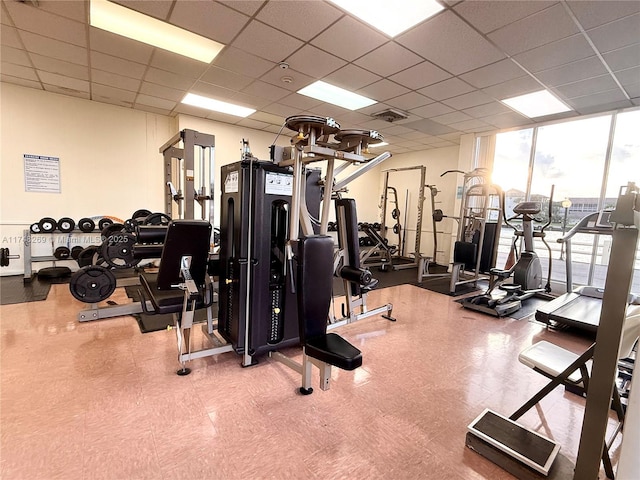 exercise room featuring visible vents, a paneled ceiling, and floor to ceiling windows