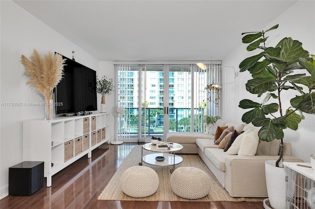 living room featuring dark hardwood / wood-style flooring and expansive windows