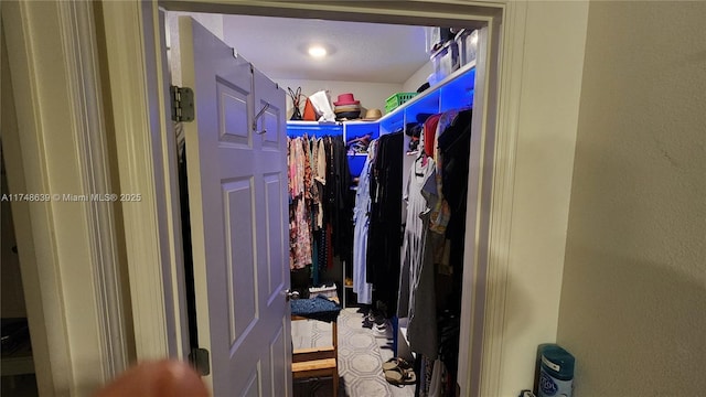 view of walk in closet