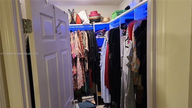 view of spacious closet