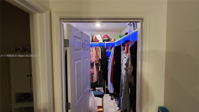 view of walk in closet