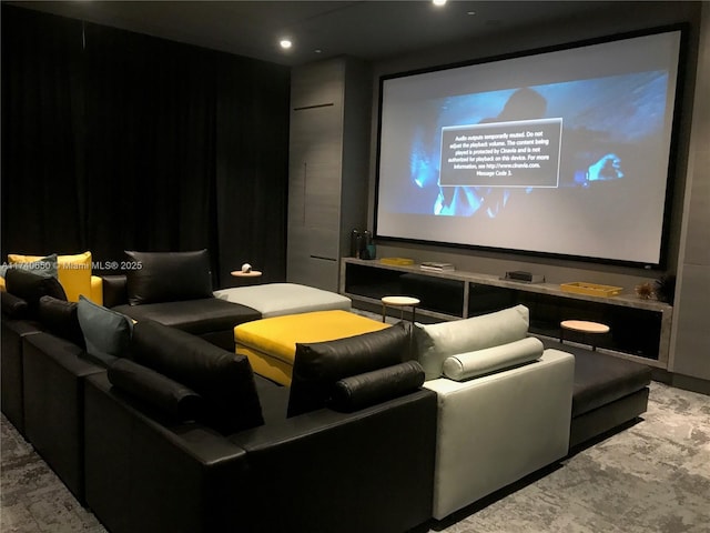 view of home theater room