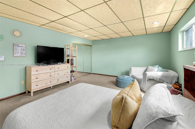 bedroom with a paneled ceiling, carpet floors, and a closet