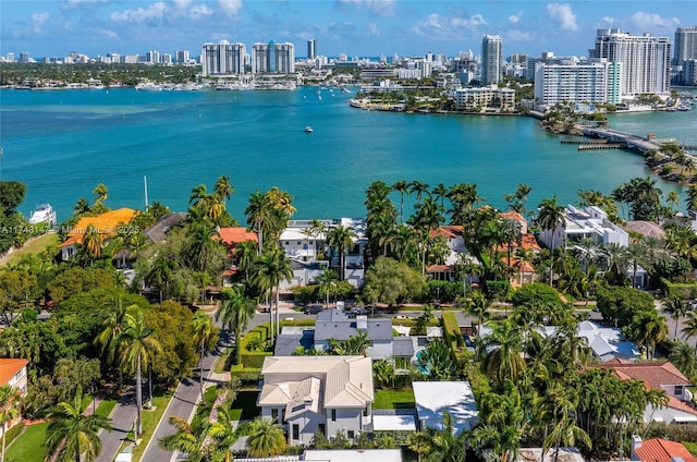 114 4TH Rivo Alto Ter, Miami Beach, FL 33139 - photo 35