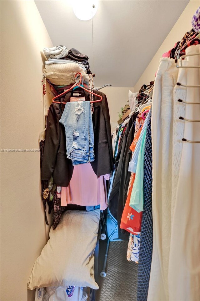 235 Kent N Unit 235, West Palm Beach, FL 33417 - view of spacious closet