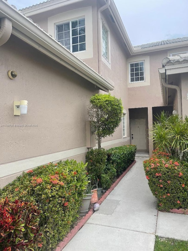 doorway to property featuring stucco siding