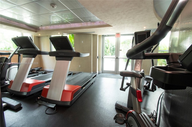 exercise room featuring french doors