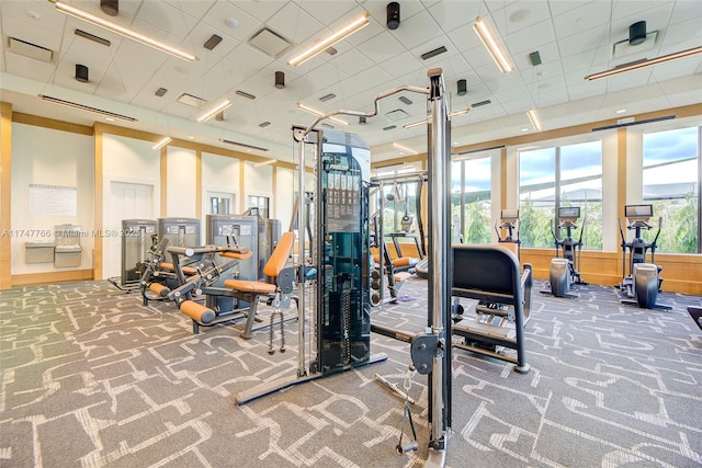 exercise room with carpet flooring, visible vents, and a drop ceiling