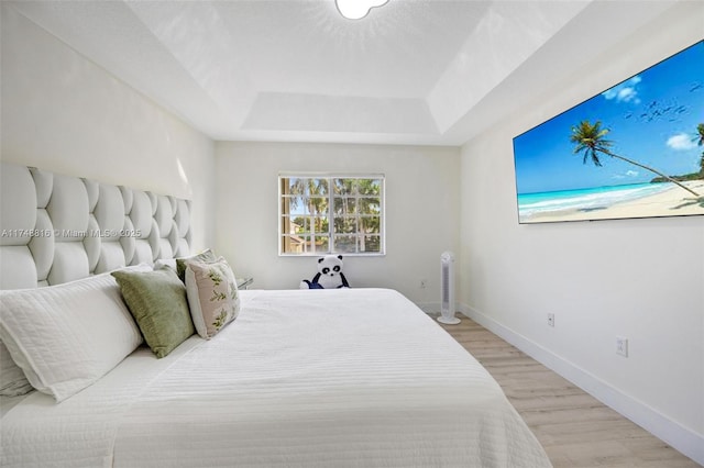 8851 SW 208th Ter, Cutler Bay, FL 33189 - bedroom with light wood-style flooring, baseboards, and a tray ceiling