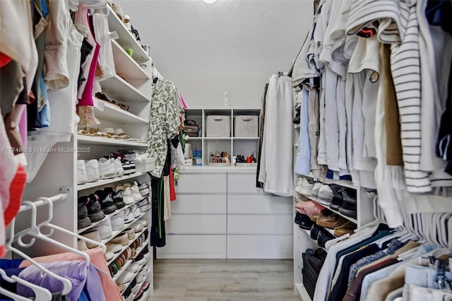 8851 SW 208th Ter, Cutler Bay, FL 33189 - walk in closet featuring light wood-style flooring