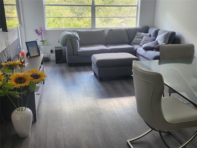 living room with a fireplace and wood finished floors