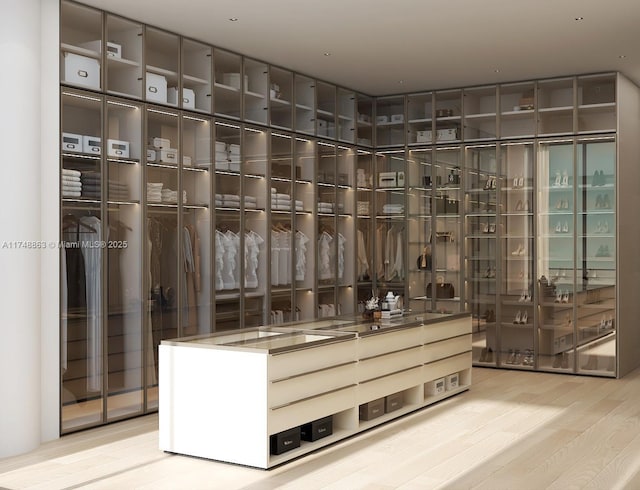 spacious closet featuring light wood-type flooring