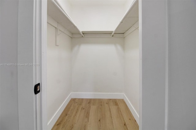 spacious closet with light wood finished floors